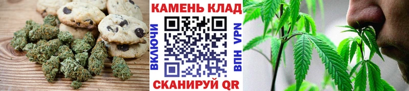 Cannafood конопля  Черноголовка 