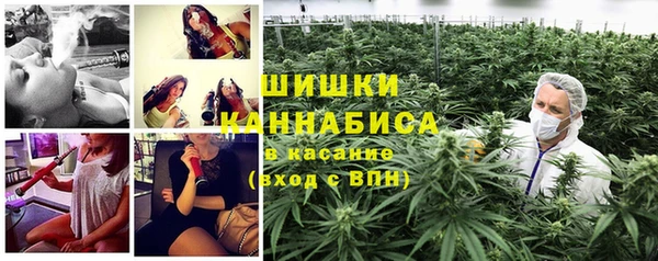 твердый Кулебаки