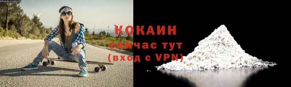 твердый Кулебаки