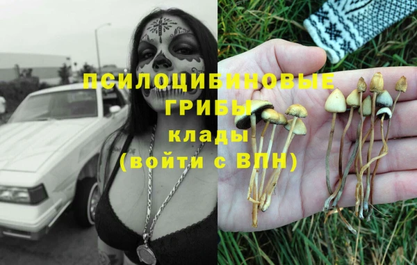 мдма Ладушкин