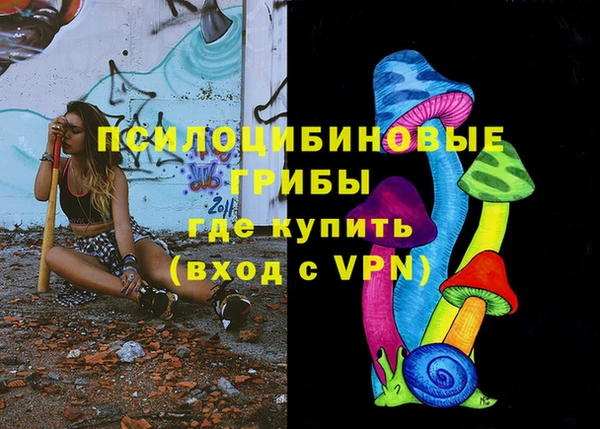 твердый Кулебаки