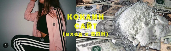 твердый Кулебаки